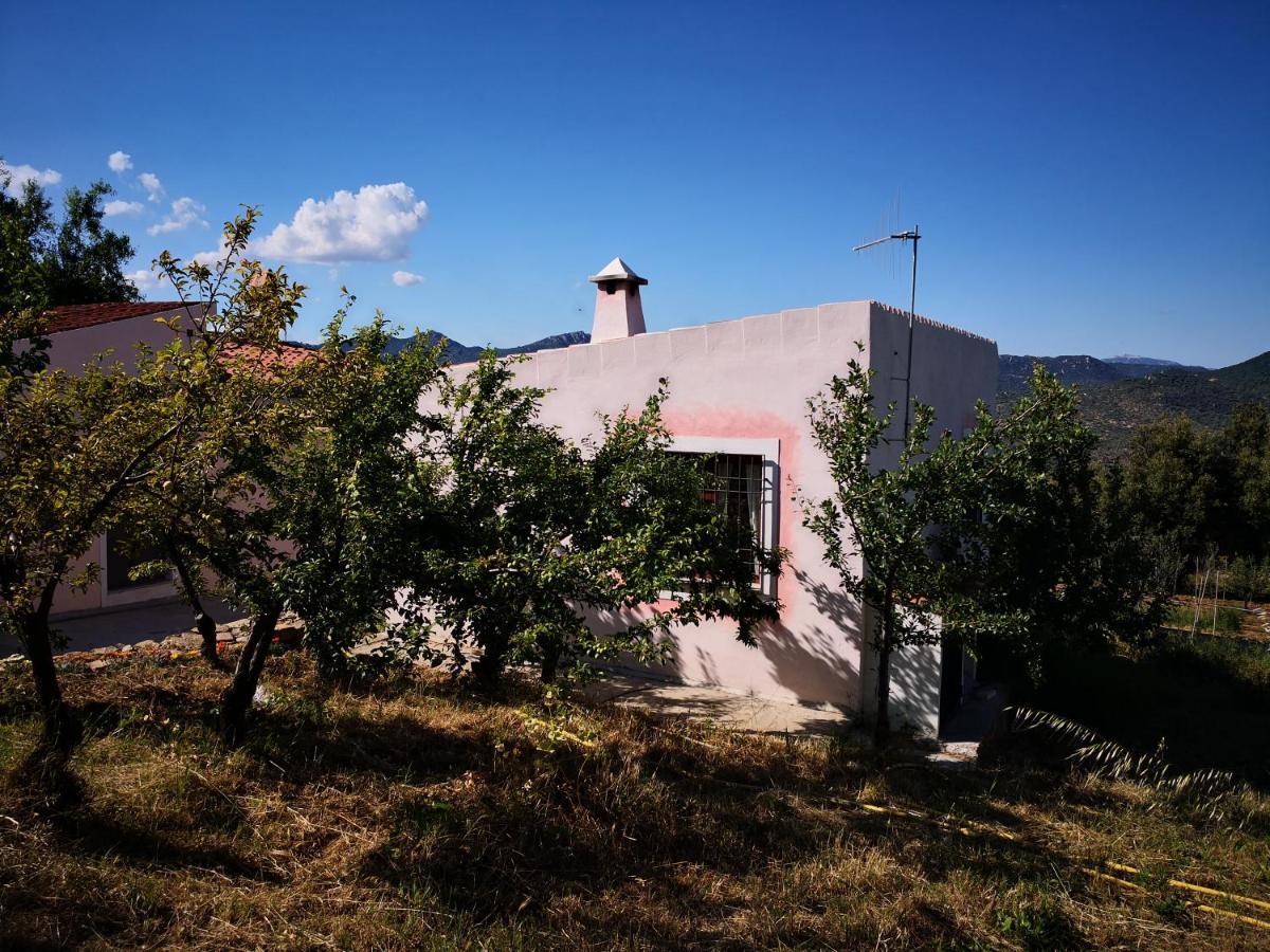 Villa Sa Pruna Oliena Eksteriør billede